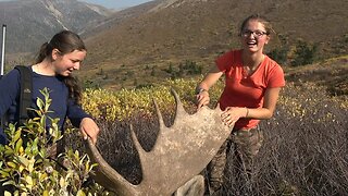 Canadian Girls hunt Canadian Moose on Canadian Horses