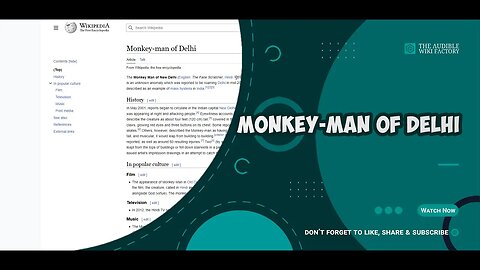 The Monkey Man of New Delhi aka Kaala Bandar is an unknown anomaly which was reported to be