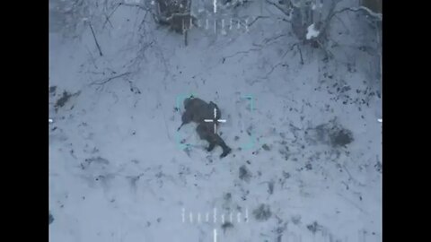 Russian soldier grabs drone with barehands after it attacked him