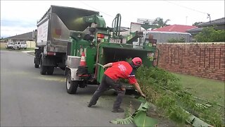 Bamboo shredding