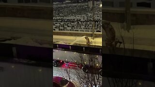 Montréal Midnight Snow Removal Operation