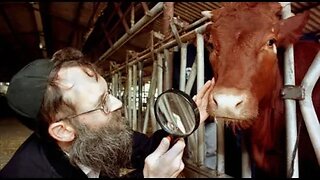 Only 3 things left before ANTI-CHRIST Appears - Red Heifer Sacrifices