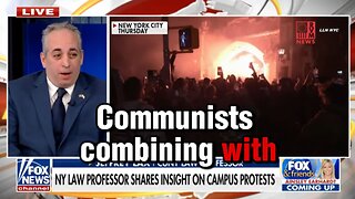 Behind Every Student Protest There Are Marxist Faculty Members - CUNY Law Professor