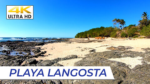 Costa Rica // PLAYA LANGOSTA Near Tamarindo [#tourism]