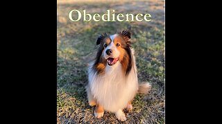 Obedience, 2-6-2023
