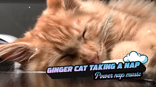 Cute ginger cat taking a nap - AI Generated nap music for pets - 20min Music For Sleeping pets