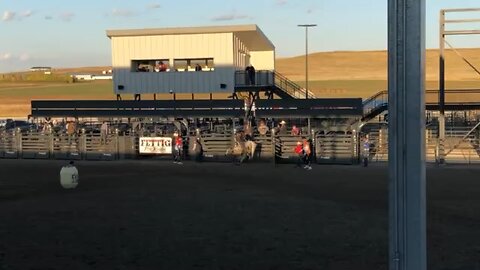 Bull Riding at Rodeo