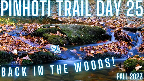 Exploring Fall Splendor on the Pinhoti Trail: Day 25 - Road Walk to Chattahoochee Forest Adventure!