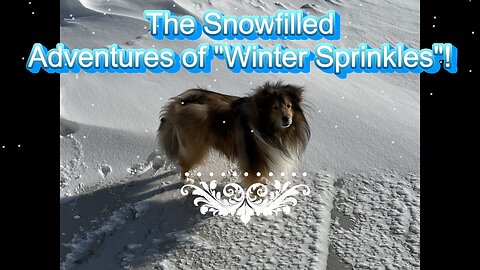 The Snow filled Adventures of "Winter Sprinkles"!