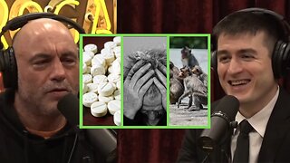 SPEED, SUFFERING, MONKEYS / JOE ROGAN EXPERIENCE #1934 vs LEX FRIDMAN #JRE #JRECLIPS #LEXFRIDMAN