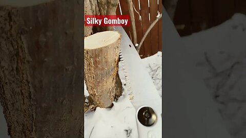 Silky Gomboy cutting wood