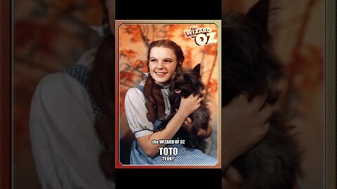 Wizard of Oz (1939) Character Cards (Had to use a cover song)