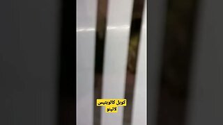 كوبل كالوبتيس لاتينو روعة