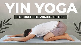 Yin Yoga To Touch The Miracle Of Life (45 Minute Class)