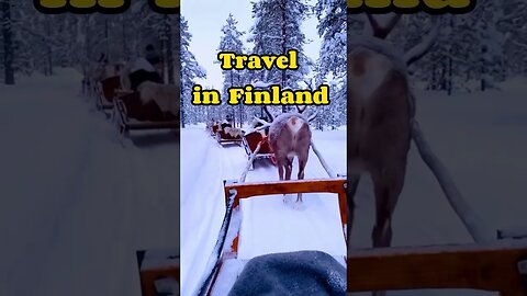 Travel in Finland #shorts #travel #europe #finland #helsinki #visitfinland #finlandtravel