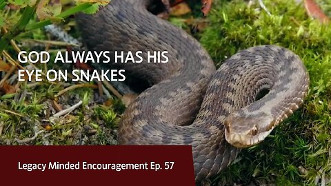 God always has his eye on snakes | Dr. Sam Hollo | Legacy Minded Encouragement