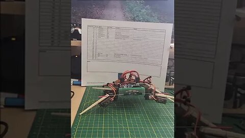 Quadruped Robot Stands Up