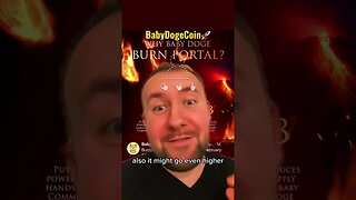 BabyDogeCoin To The Moon 164% - Meme Coins Making A Comeback