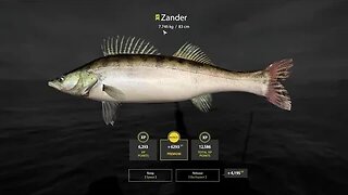 Russian Fishing 4 Ladoga Archipelago Zander 7 . 746 Kg