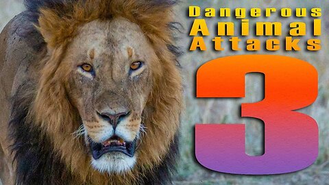 Dangerous Animal Attacks - O I C U Top List - Part-3