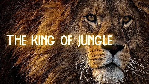 Lion "The King of Jungle"