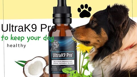 Unlock Your Dog's Inner Wolf with UltraK9 Pro: The Complete Solution for Canine Health and Longevity