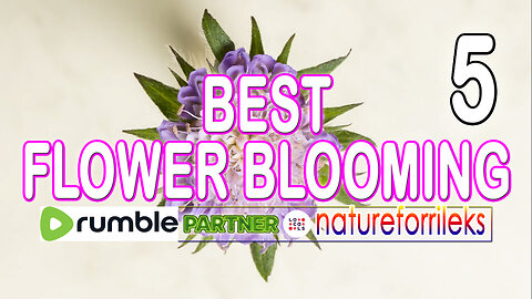 Best Flower Blooming Part-5