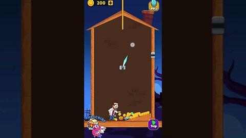 Home Pin: Pull The Pin Puzzle - Level 3 #3