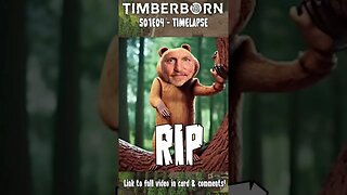 Timberborn 📽️ 🦫 S01E04 FULL #TIMELAPSE! 🤖 A.I. Procedural generate map!