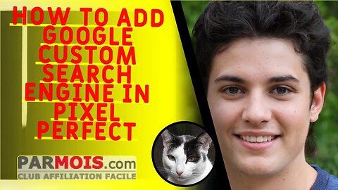 how to add google custom search engine in pixel perfect