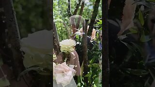 Wedding Teaser from WOODLAND + WILDFLOWER WEDDINGS in Alberta