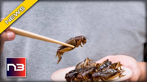 Bizarre Twist! Eating Bugs Is the New Normal in Europe
