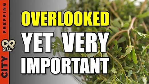 The Edible SuperFood Weed Growing In Your Yard