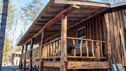 TIMBER OIL FOR THE FRONT PORCH | BEGINNING KITCHEN CABINETS | OFF GRID CABIN HOMESTEAD