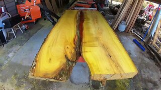 Finally I Have Struck Gold On The Sawmill! Must See Saw Log,