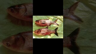 #shorts #youtubeshorts #viral #viralshorts #trending #trendingshorts #fish #recipe #bengalcooking