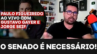 PRECISAMOS TOMAR O SENADO! - Paulo Figueiredo, Gayer e Jorge Seif Falam Sobre Eleição no Senado