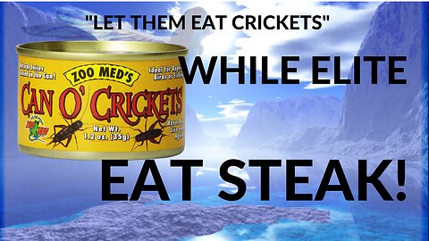 APPROVED TWO INSECTS FOR HUMAN CONSUMPTION - POWDERED HOUSE CRICKETS
