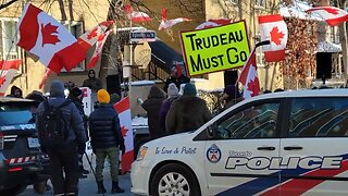 Feb 3 Toronto ( Jordan peterson 2.0) protest
