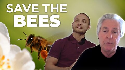 SAVE THE BEES , SAVE THE WORLD BEE BRAVE