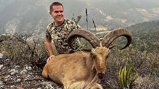 Hunting Deer & Sheep with a Straight-Pull Rifle (8 kill shots on video!)