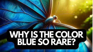 Exploring Natures Rarest Hue | The Color Blue