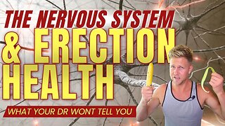 The Nervous System and Erection Health - Improve Your Boners Naturally