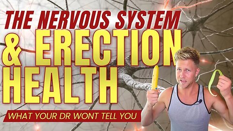 The Nervous System and Erection Health - Improve Your Boners Naturally