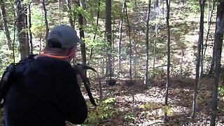 MP40 Woods Walk