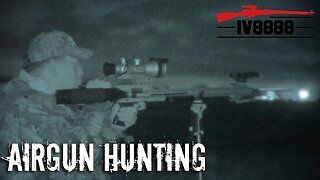 Airgun Predator Hunting 101