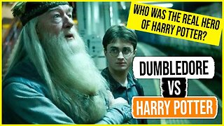 Who was the real hero of Harry Potter?