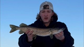 Ice fishing for pike