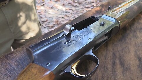 Browning Auto 5 Buck Special Chapter 2