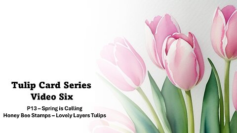 Tulip Card Series | Video Six